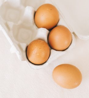 Rohe Eier sind ungesund für Hunde.