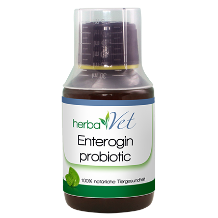 herbavet_enterogin_probiotic_650130_1.png